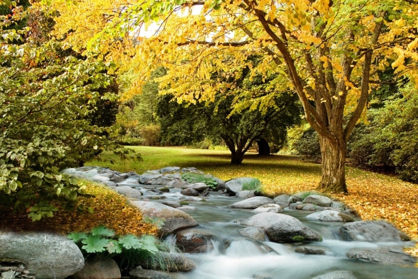 Creation of Autumn Along the Creek: Step 7